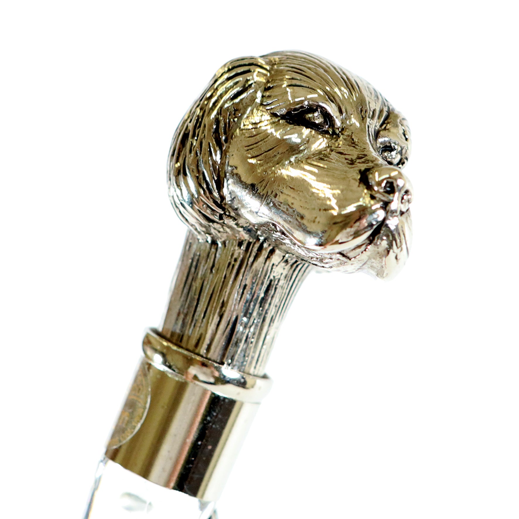 Calzante - Cane argentato