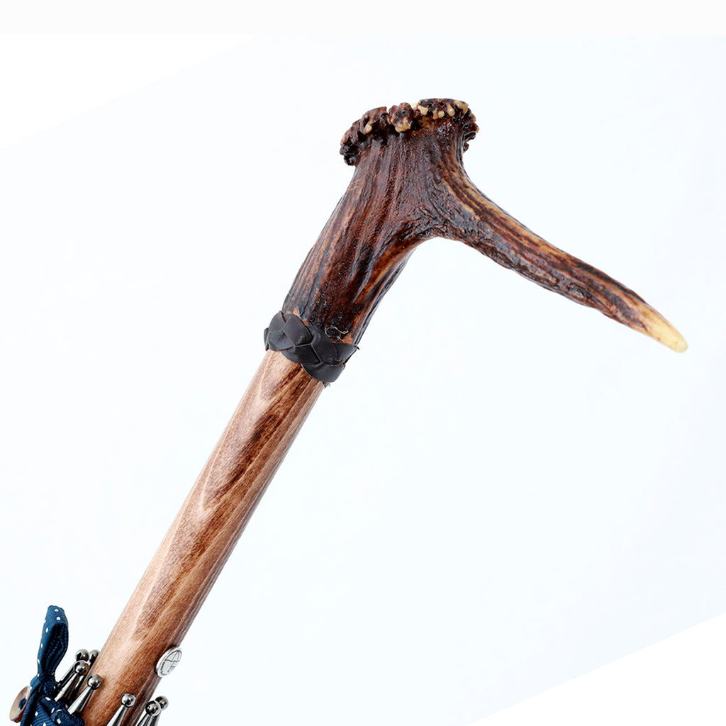 Cervo e Hickory - Blue pois bianchi