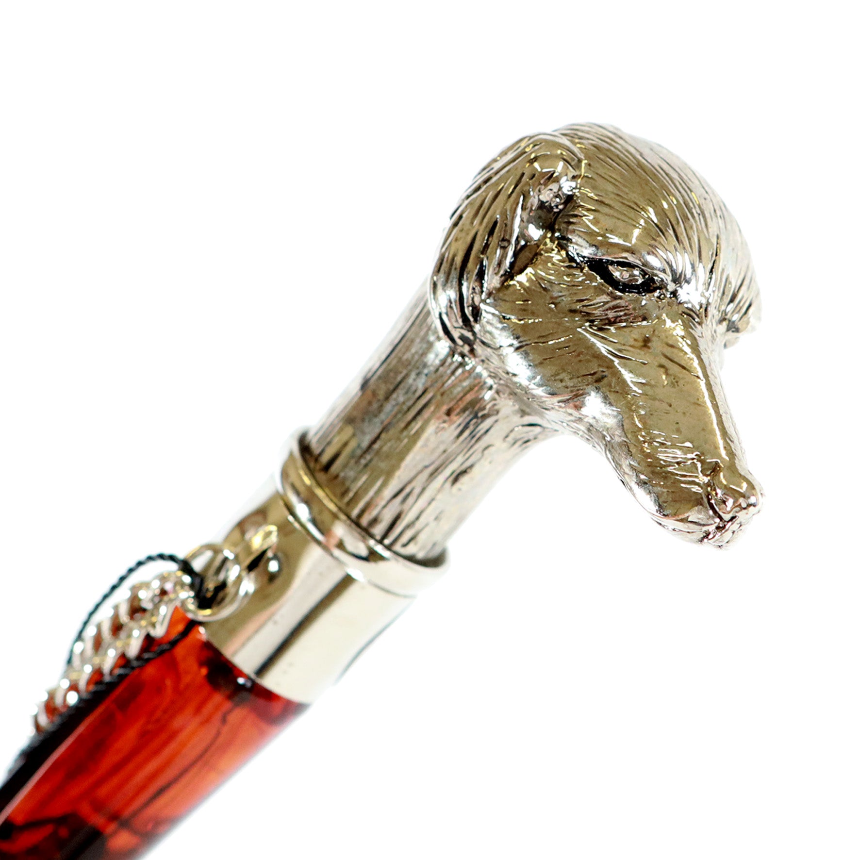 Calzante - Cane argentato 3