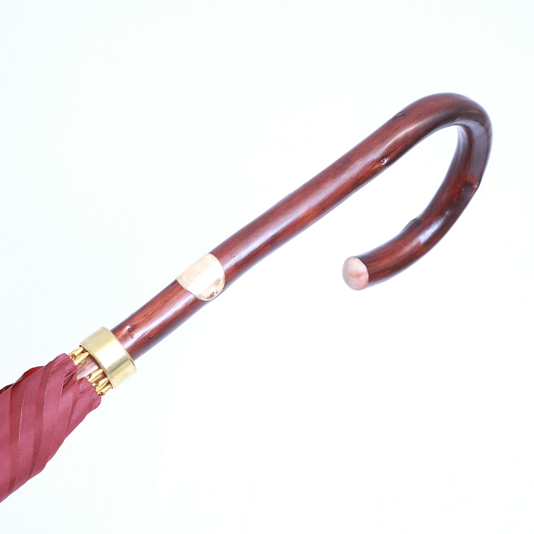 Castagno donna - Fantasia 003