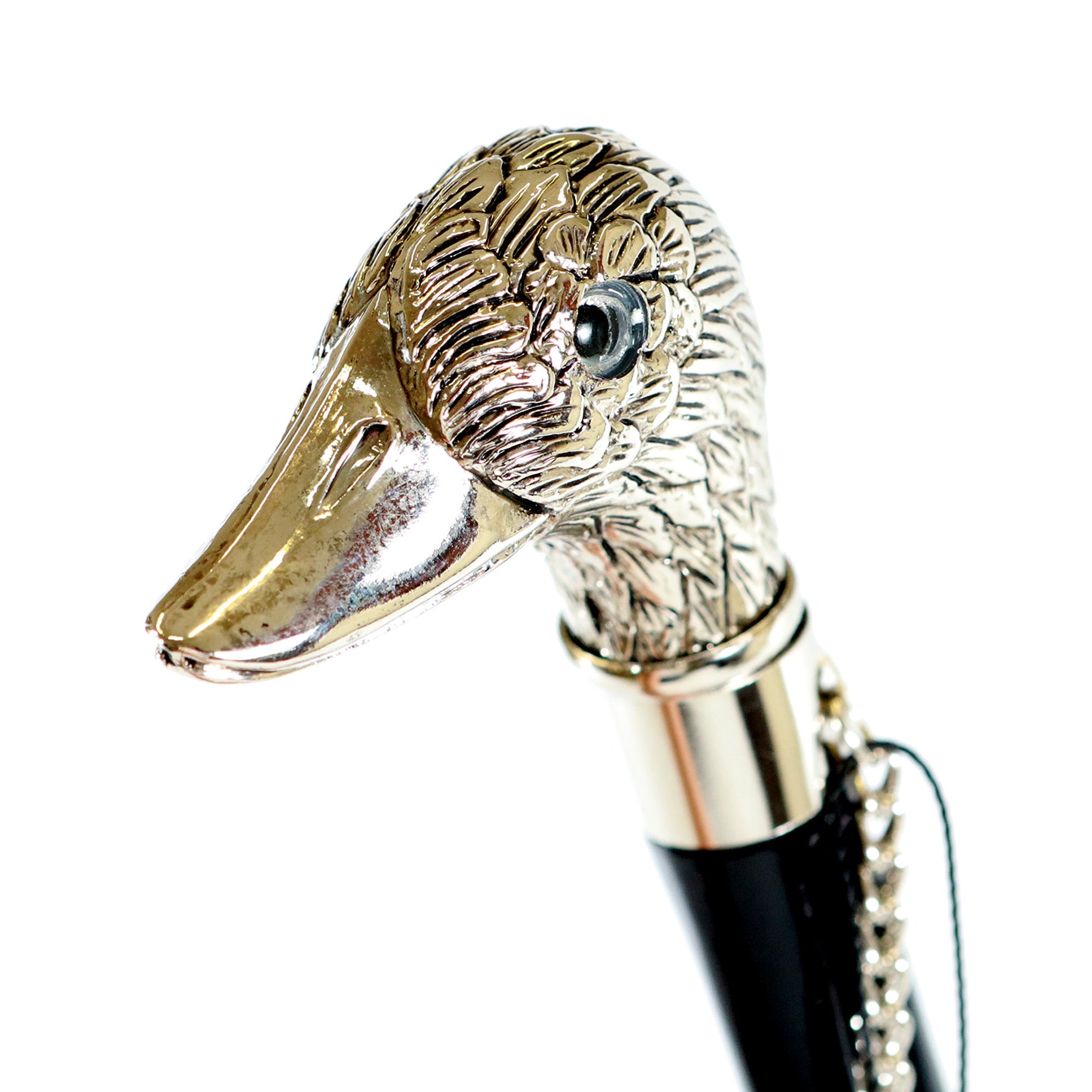 Calzante - Anatra argentata