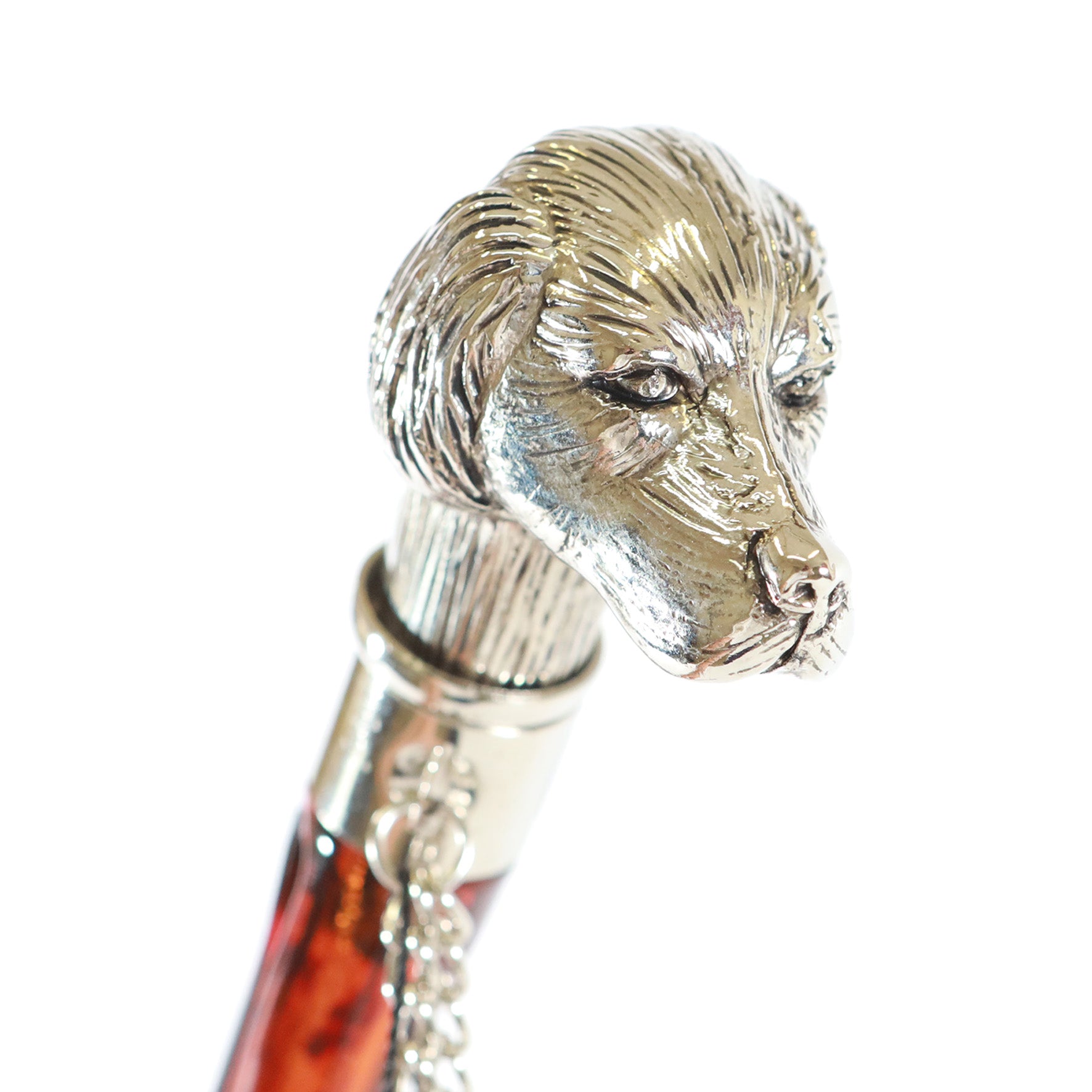 Calzante - Cane argentato 4