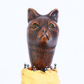 Gatto