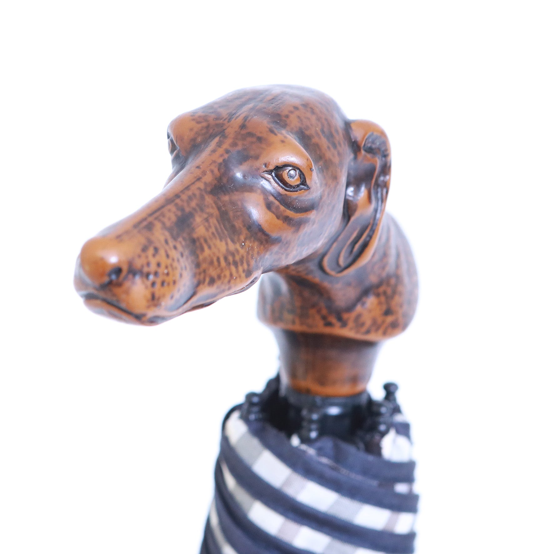 Levriero micro inglese