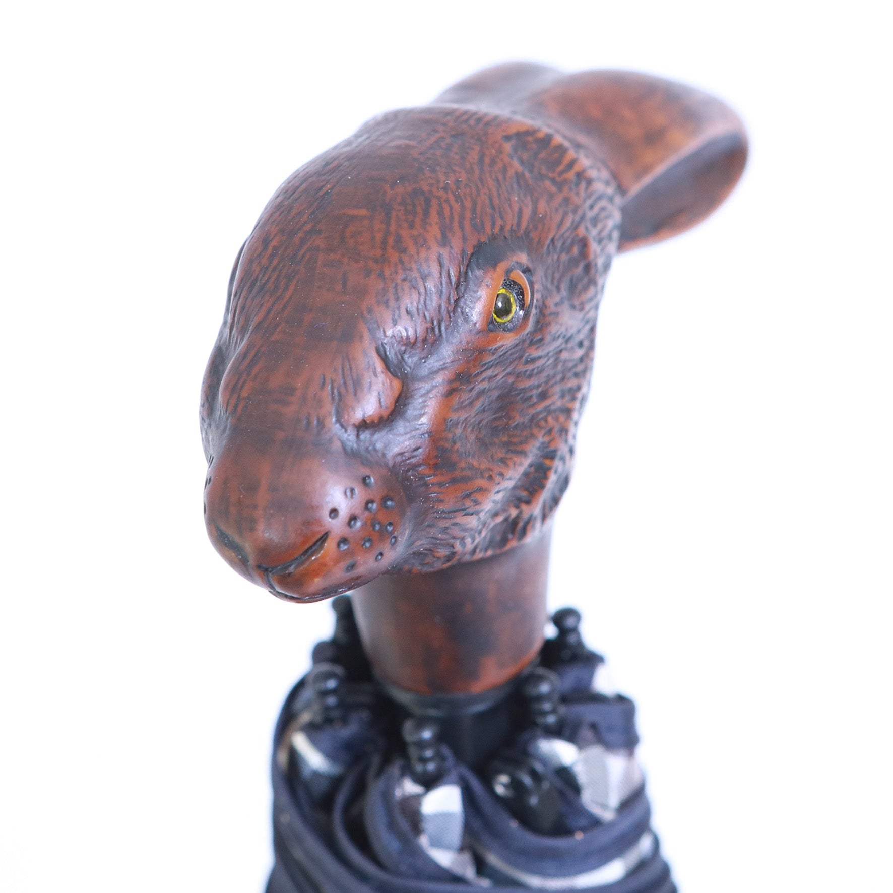 Coniglio micro inglese