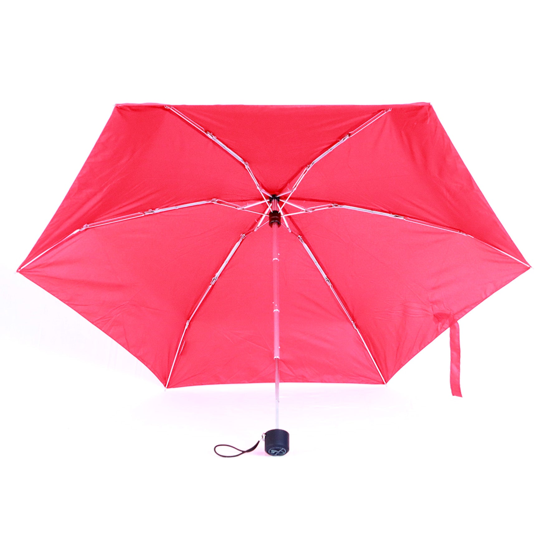 Micro Rosso ( 18cm )