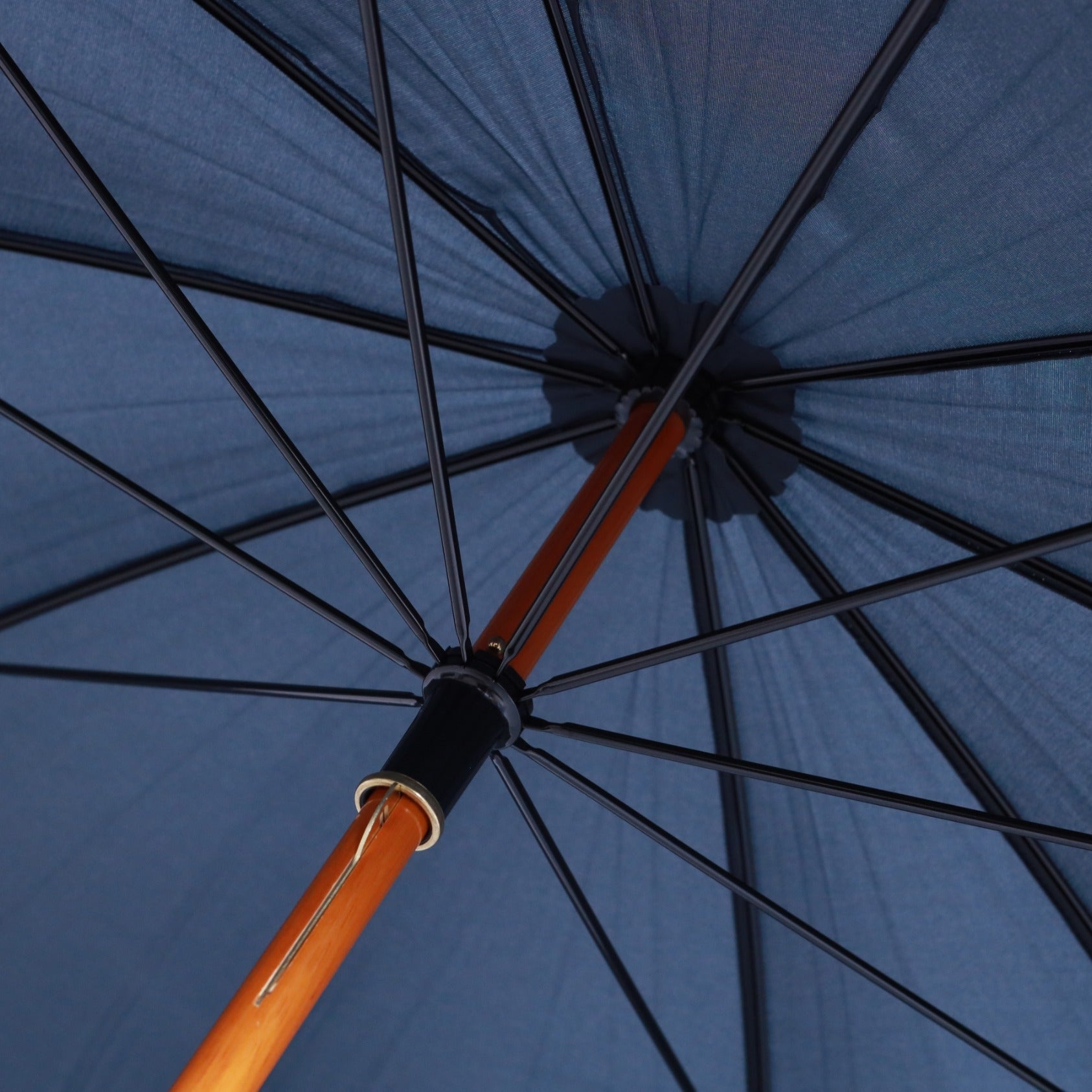 Ginestra del Vesuvio - Blue