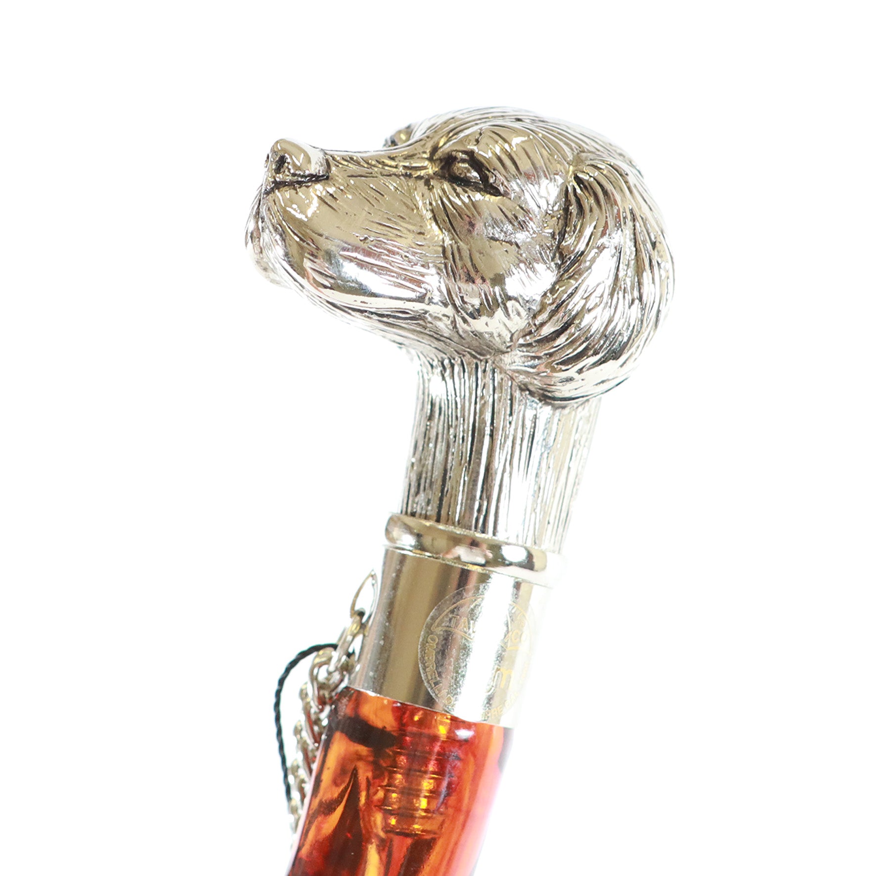 Calzante - Cane argentato 4