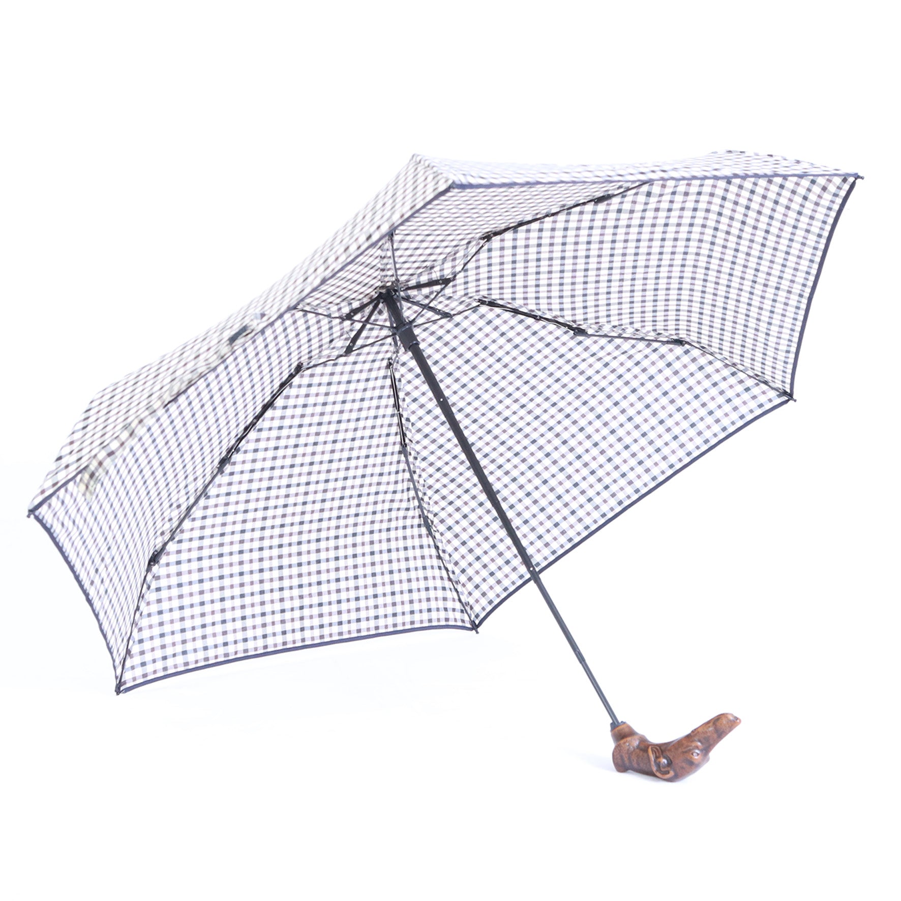 Levriero micro inglese