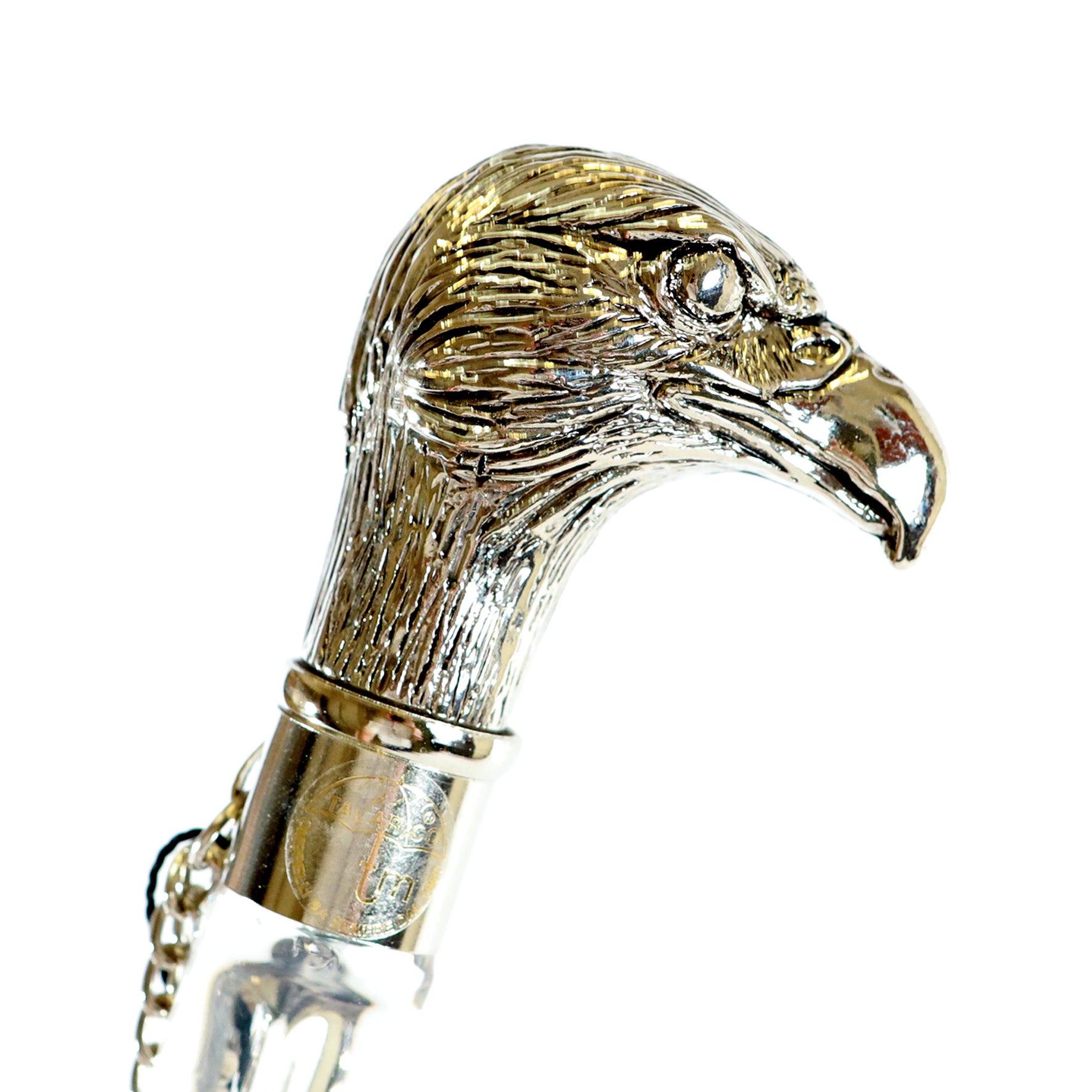 Calzante - Aquila argentata 2