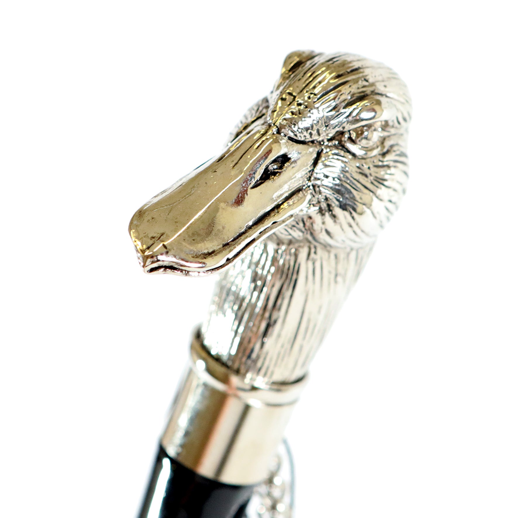 Calzante - Oca argentata