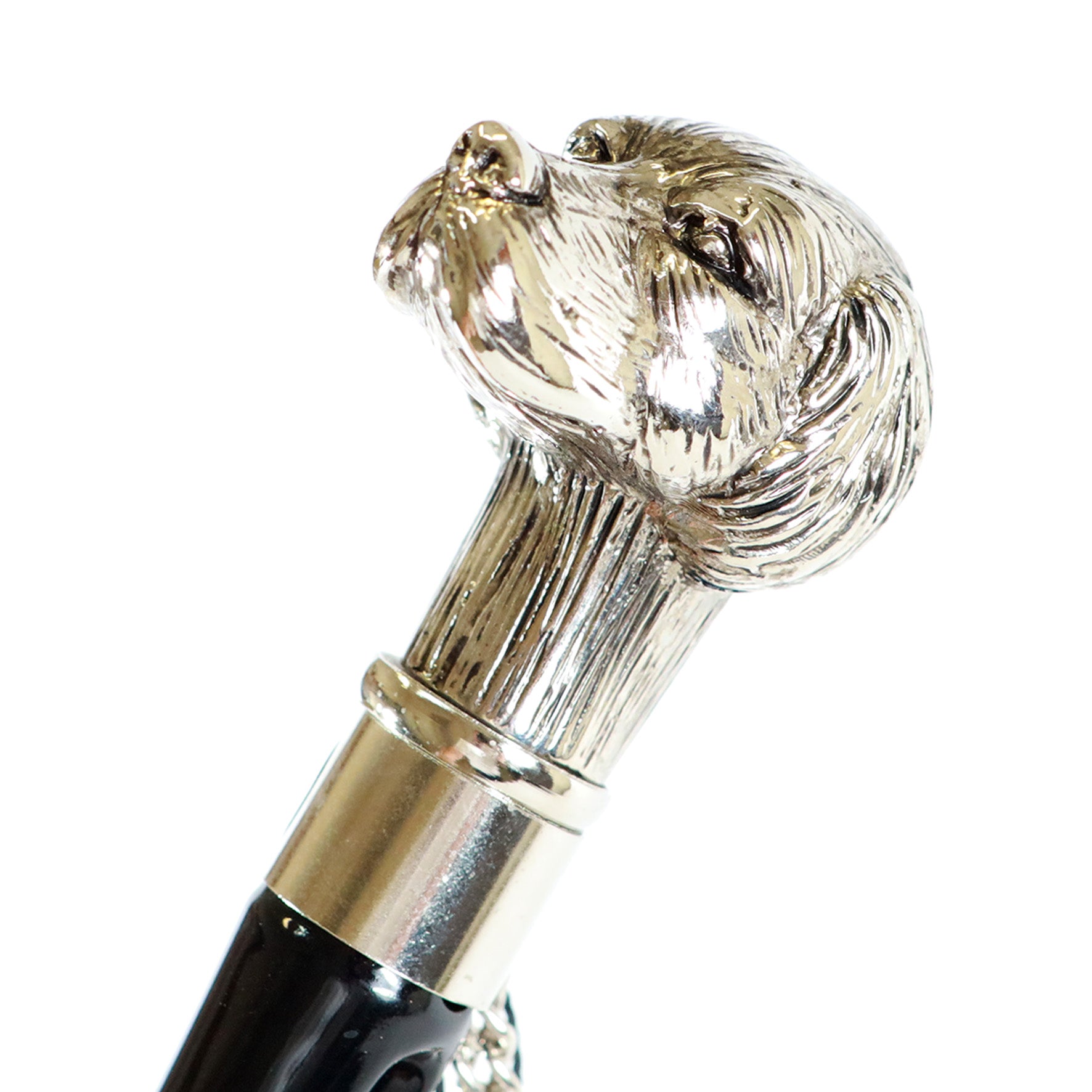 Calzante - Cane argentato 2