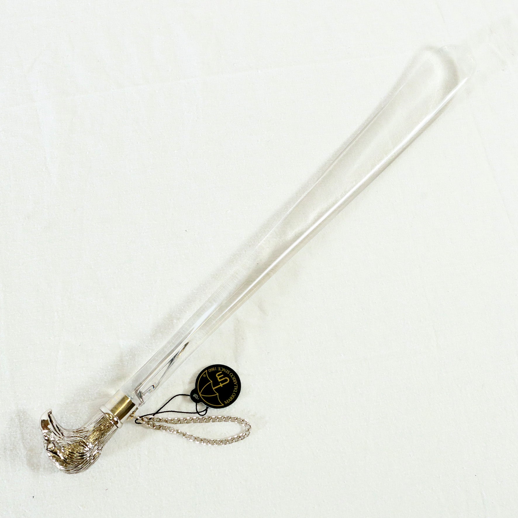 Calzante - Aquila argentata 2