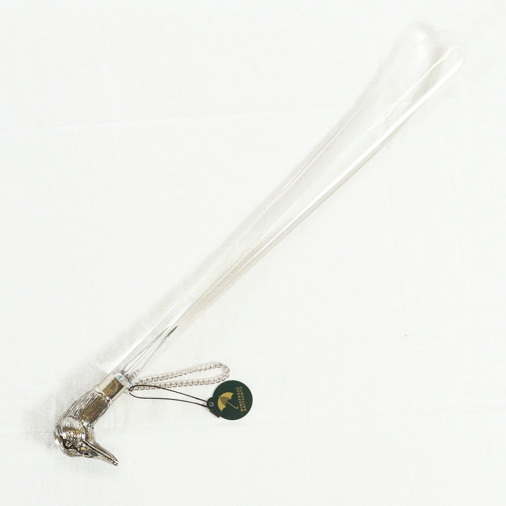 Calzante - Oca argentata 2