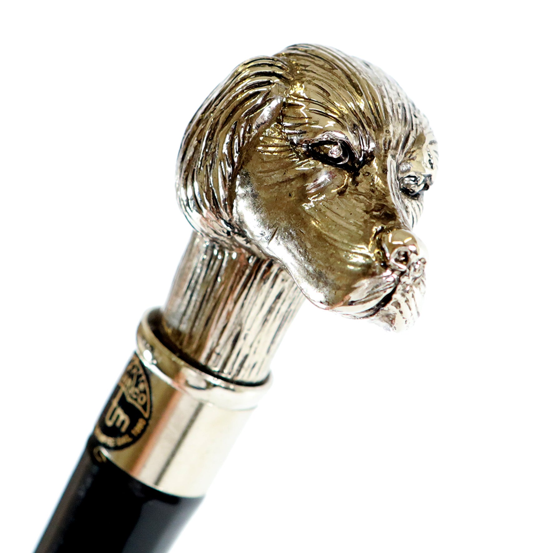 Calzante - Cane argentato 2