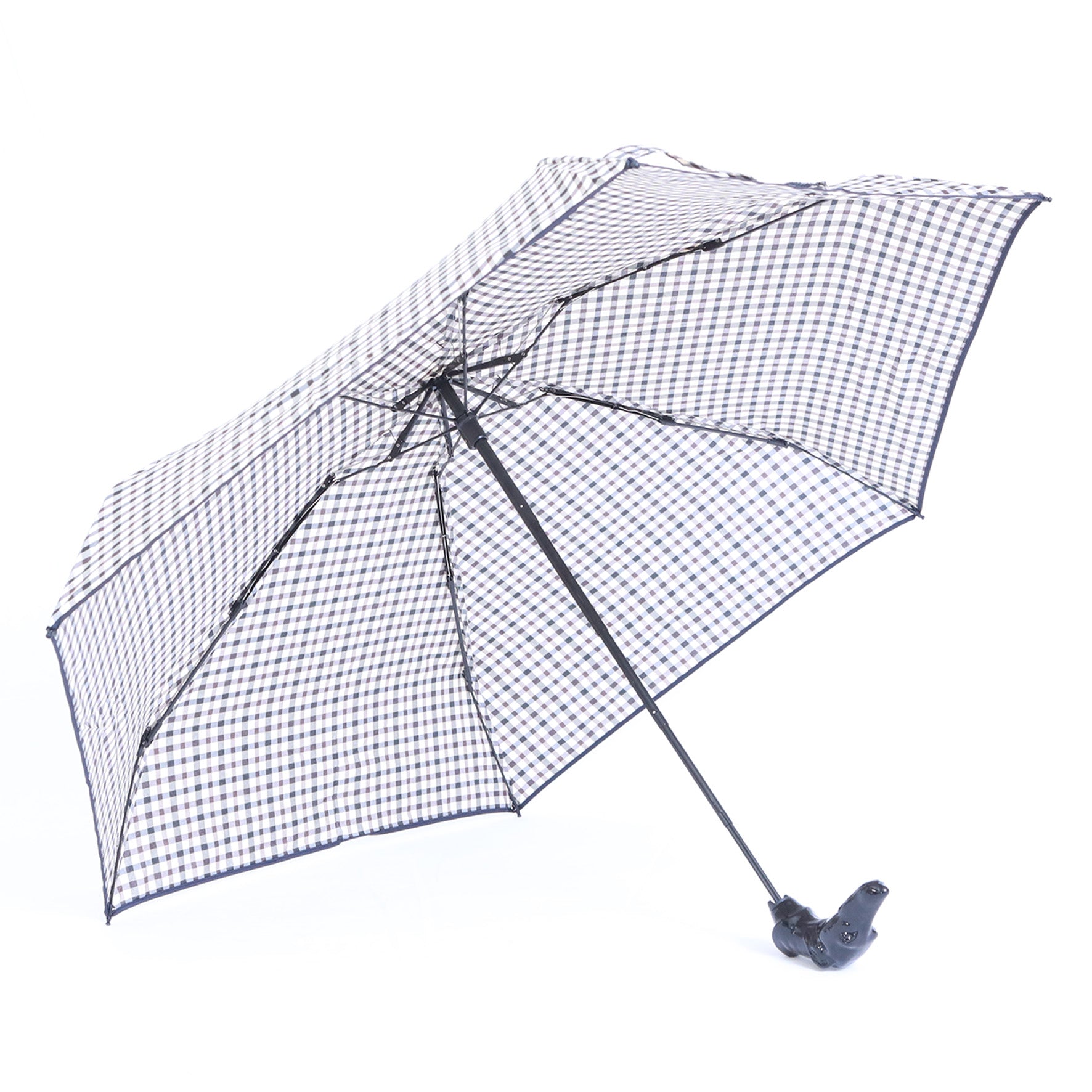 Levriero micro inglese - Nero