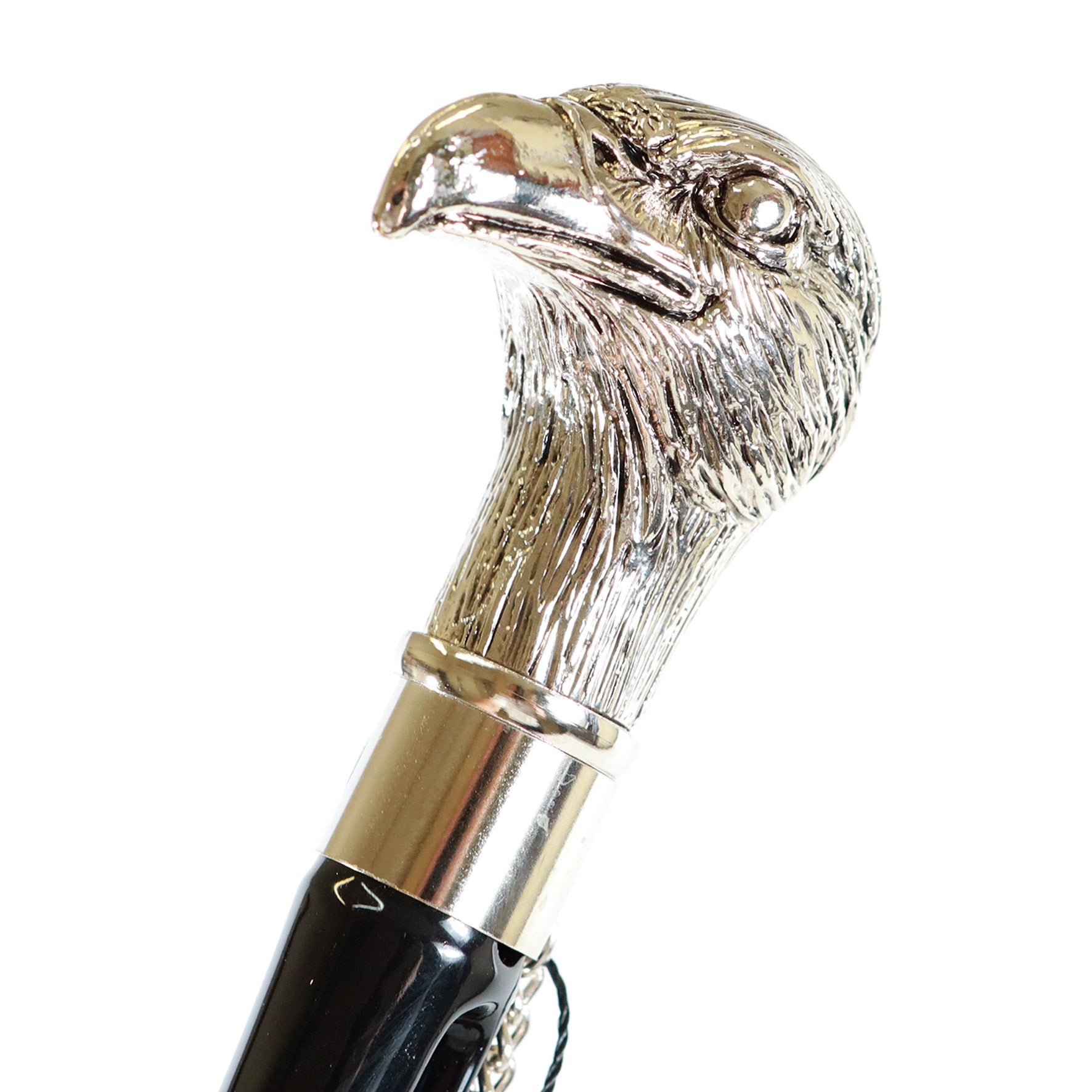 Calzante - Aquila argentata