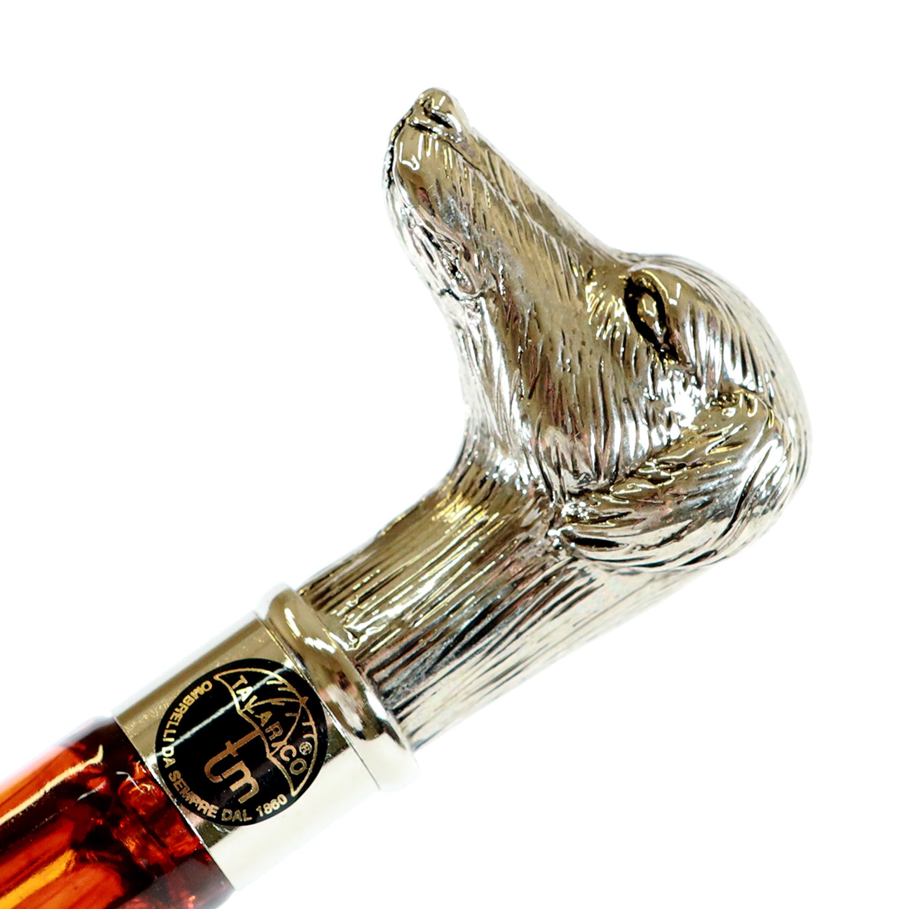 Calzante - Cane argentato 3