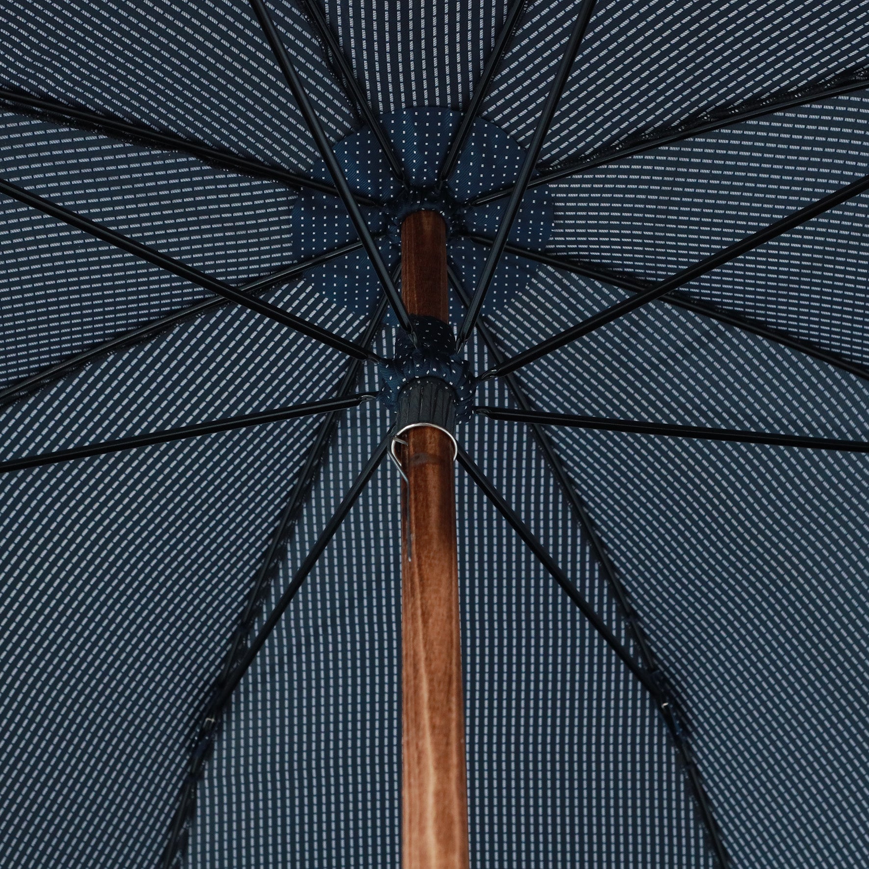 Cervo e Hickory - Blue pois bianchi