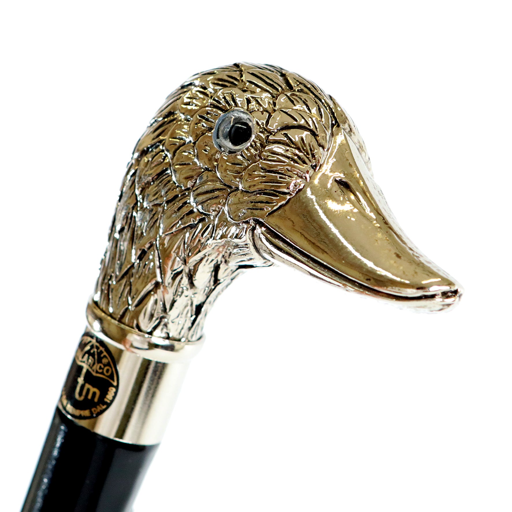 Calzante - Anatra argentata