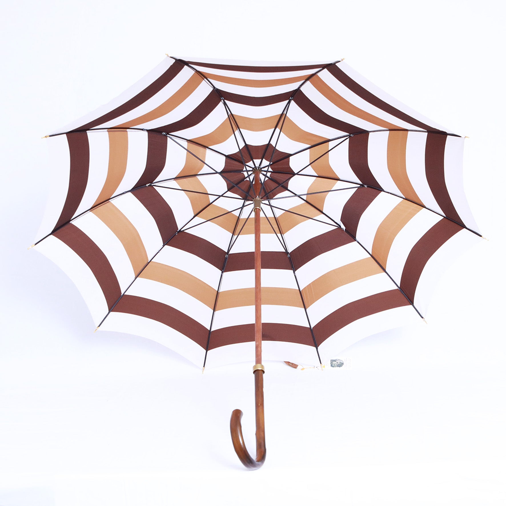 Castagno donna - 001