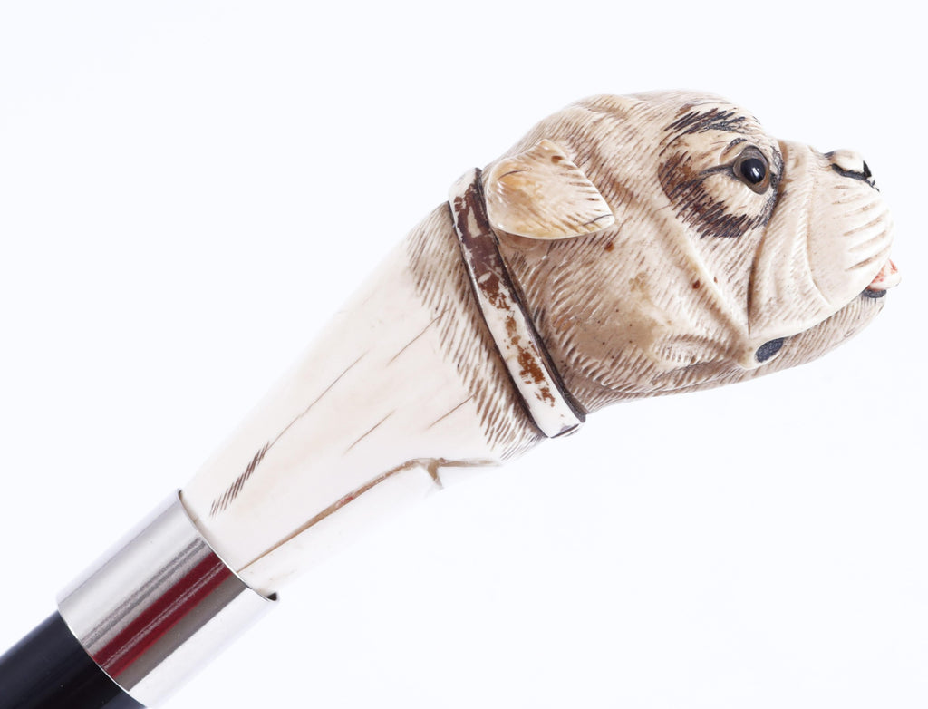Cane scolpito a mano - Epoca 1900