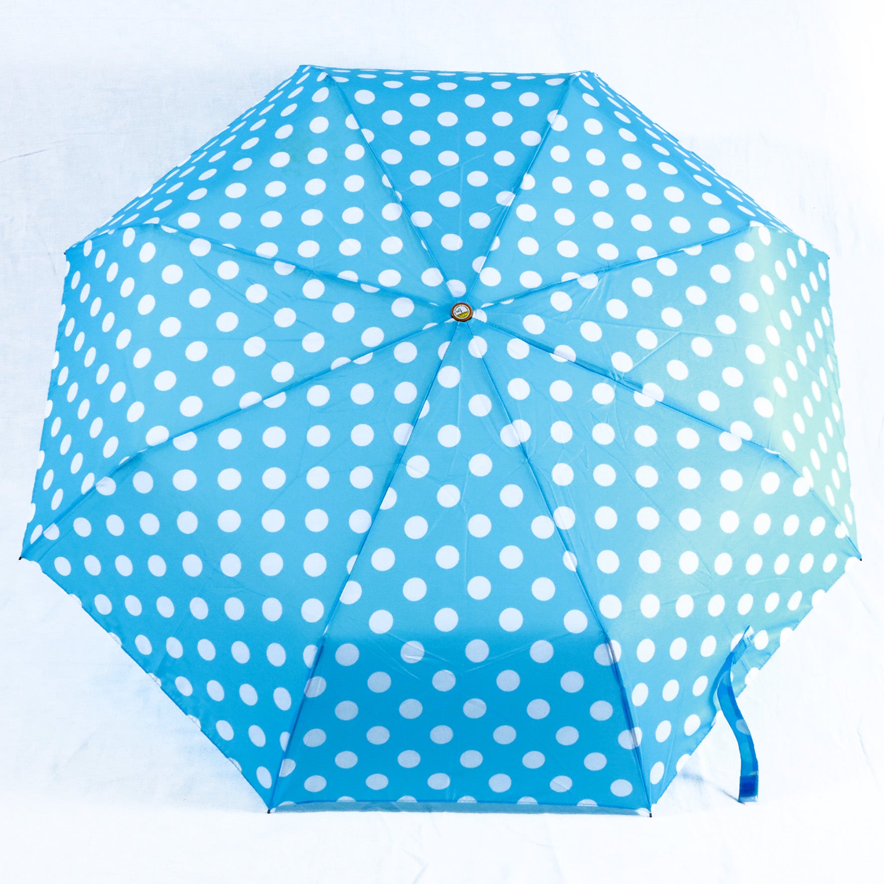 Pieghevole - Azzurro pois bianchi