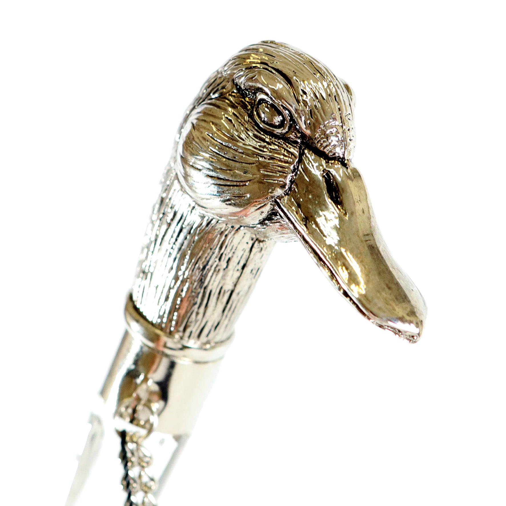 Calzante - Oca argentata 2