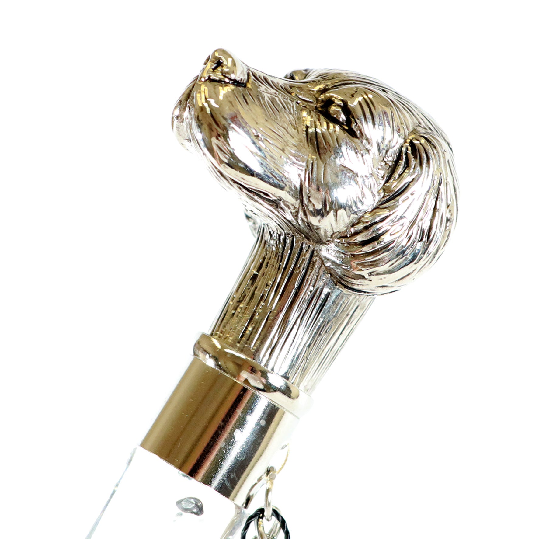 Calzante - Cane argentato