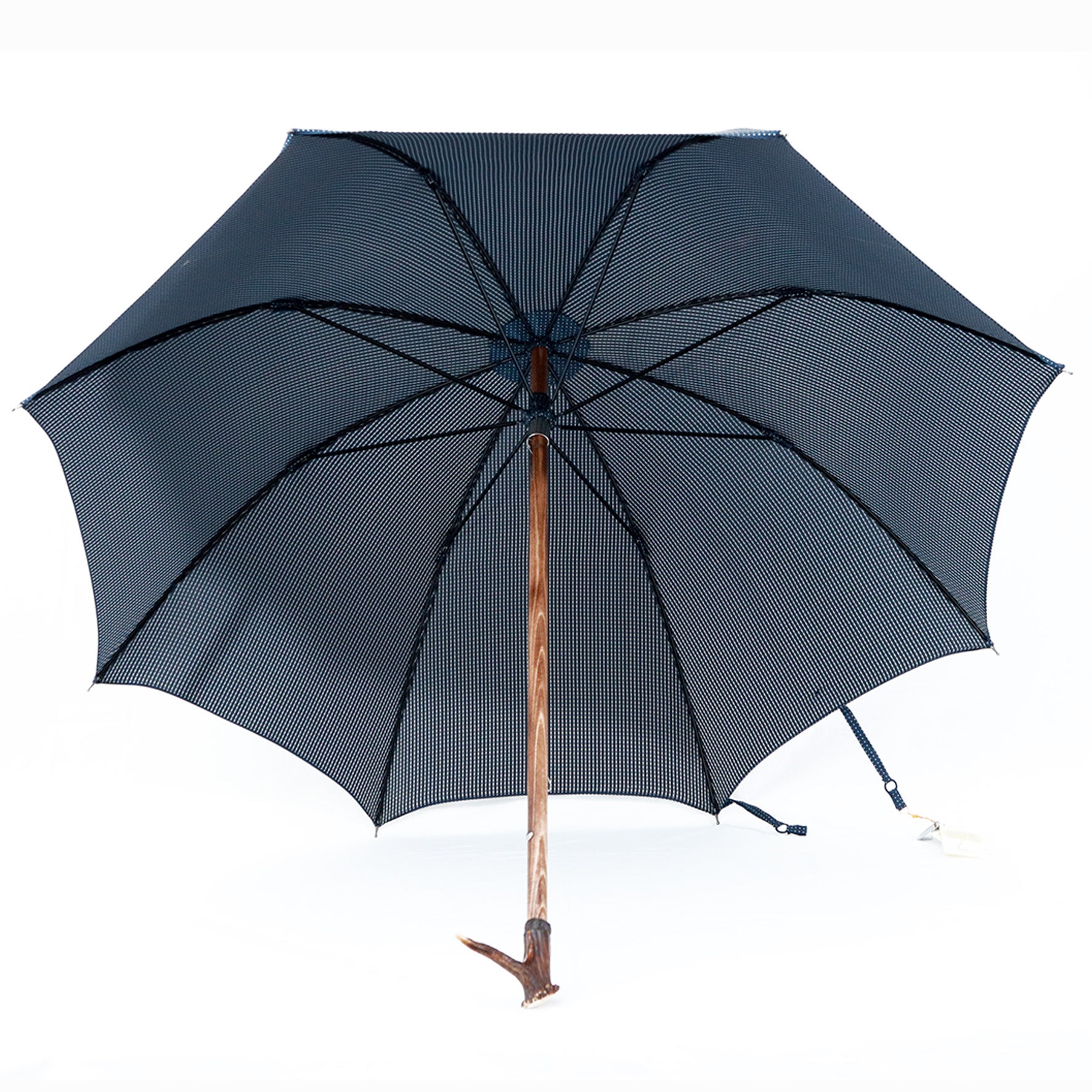 Cervo e Hickory - Blue pois bianchi