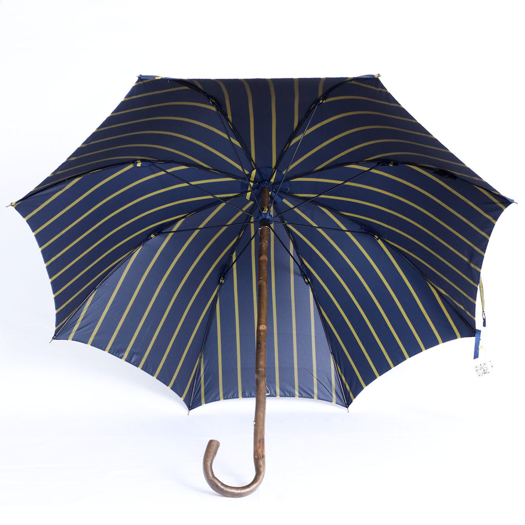 Limone di Sorrento - Regimental blue e giallo