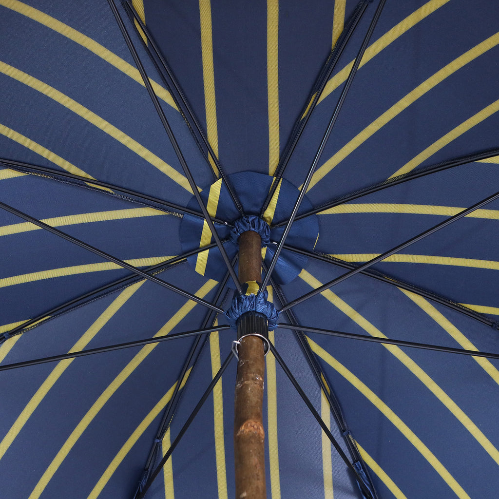 Limone di Sorrento - Regimental blue e giallo