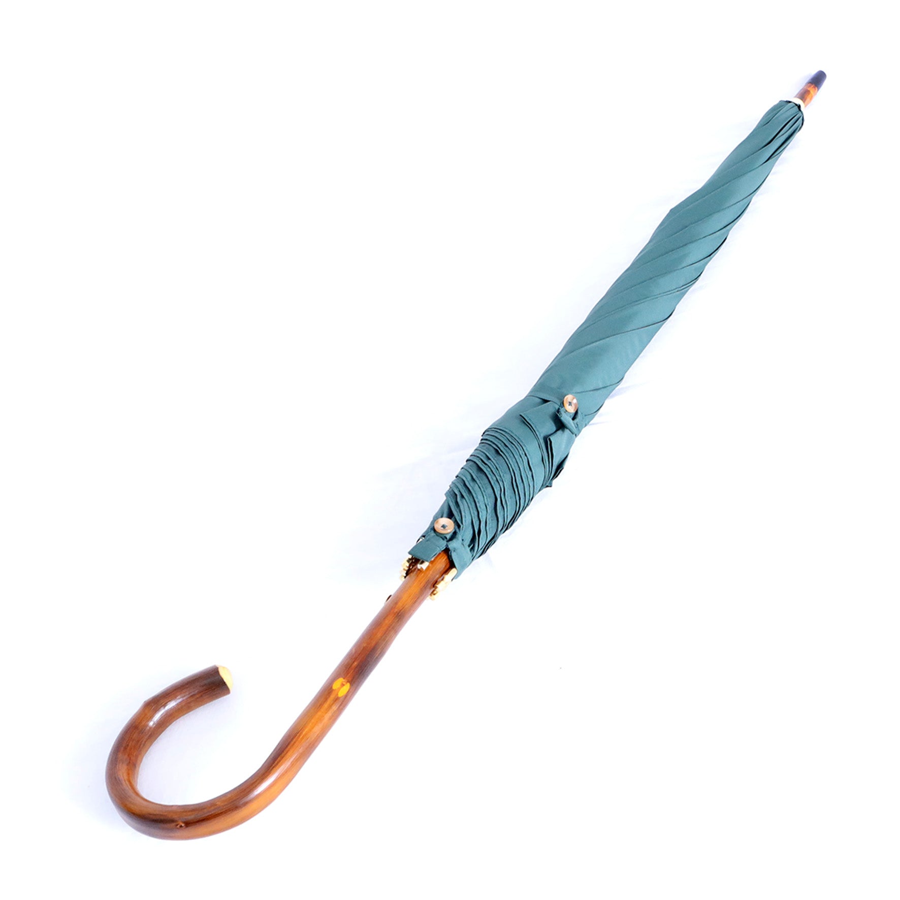 Castagno intero - Verde