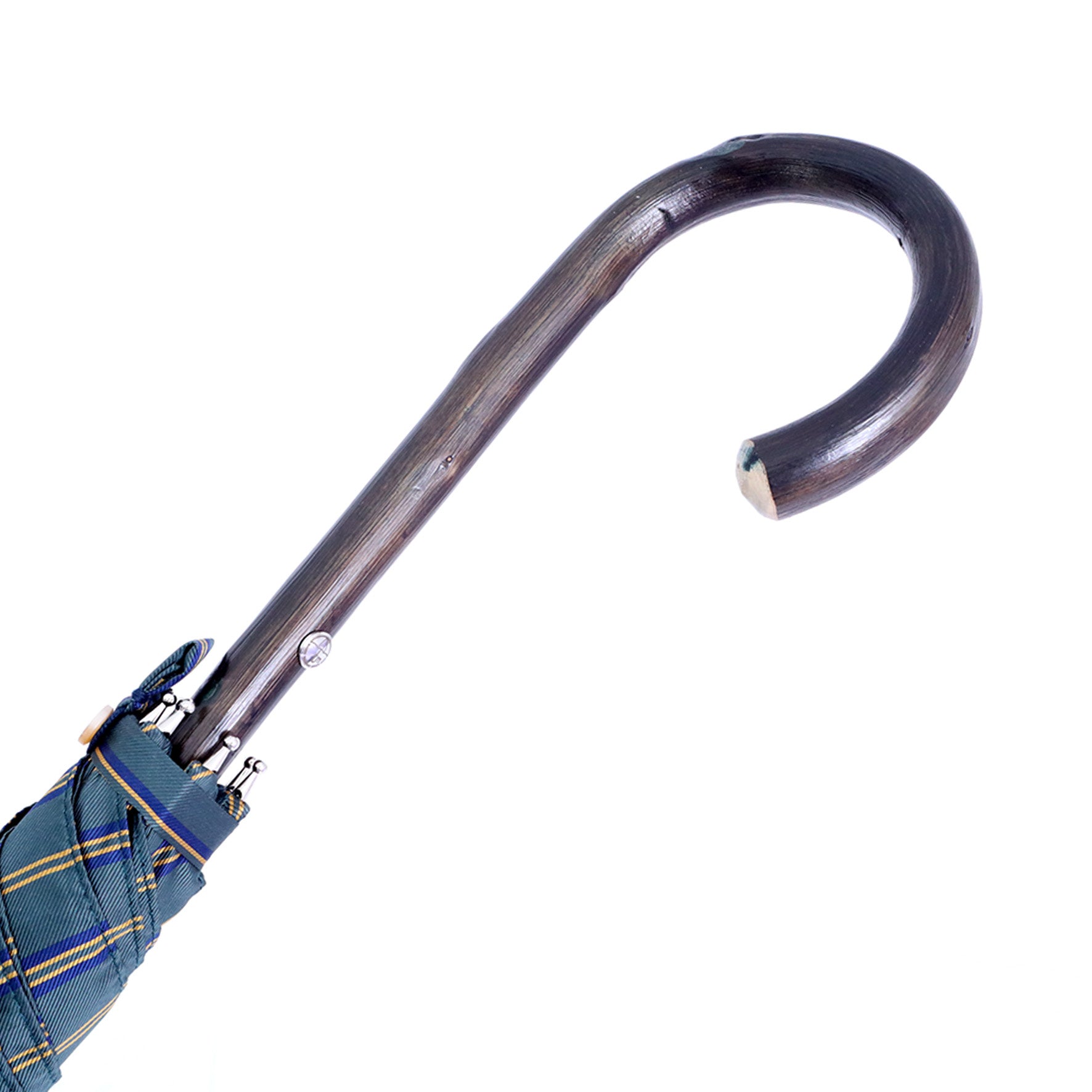 Castagno - Regimental verde