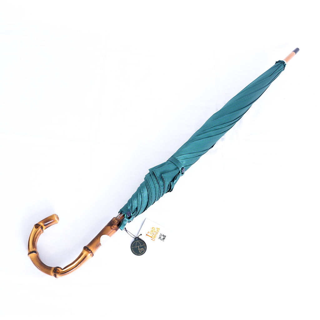 Bamboo - Verde pois blue