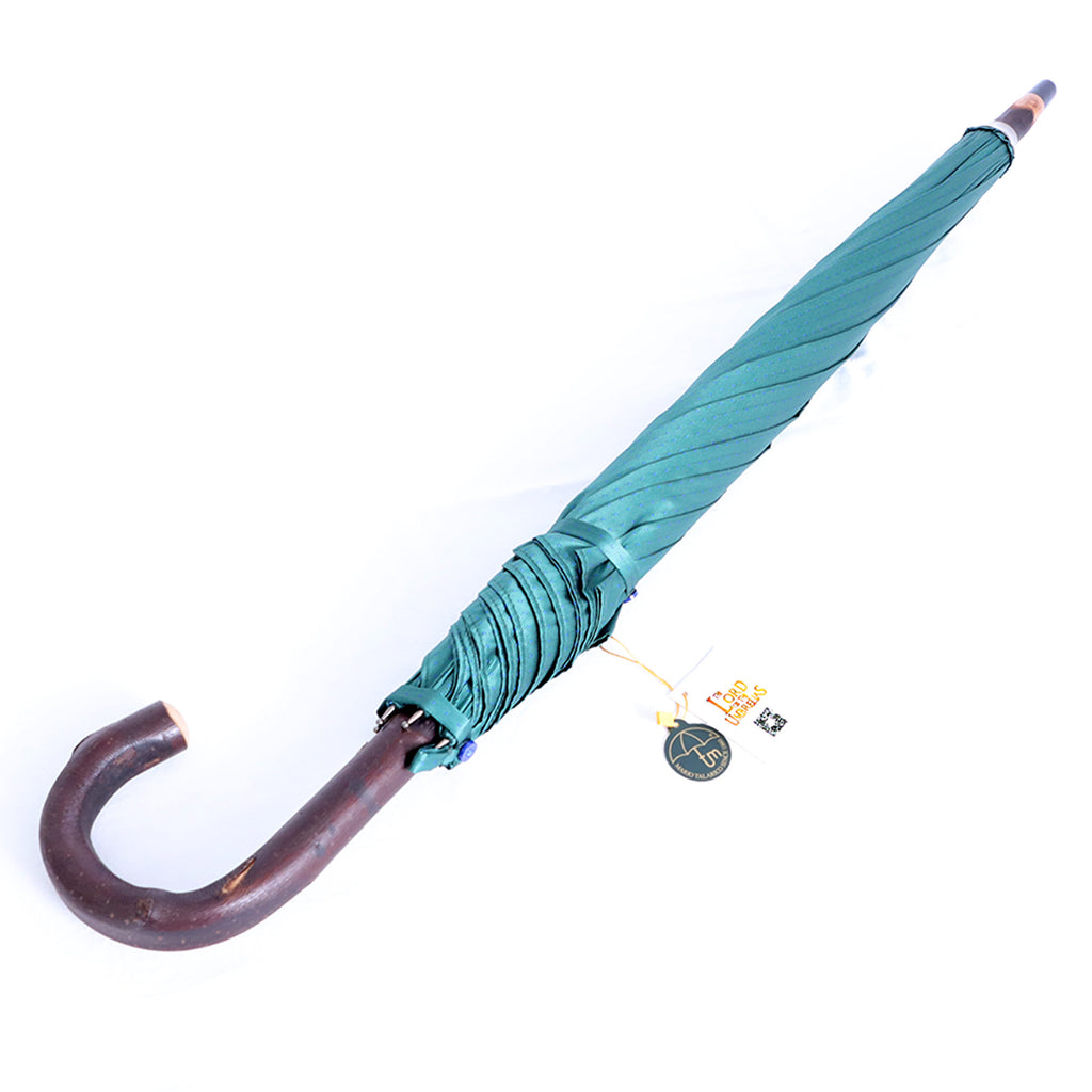 Castagno intero - Verde pois blue