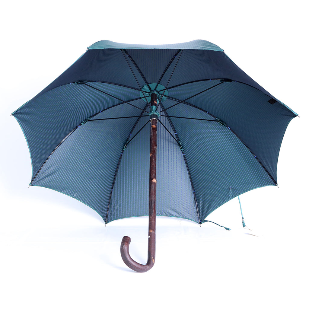 Castagno intero - Verde pois blue