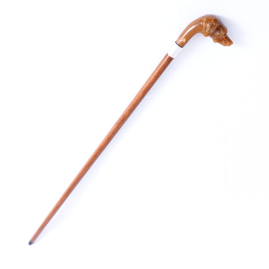 Cane vetroresina acetata