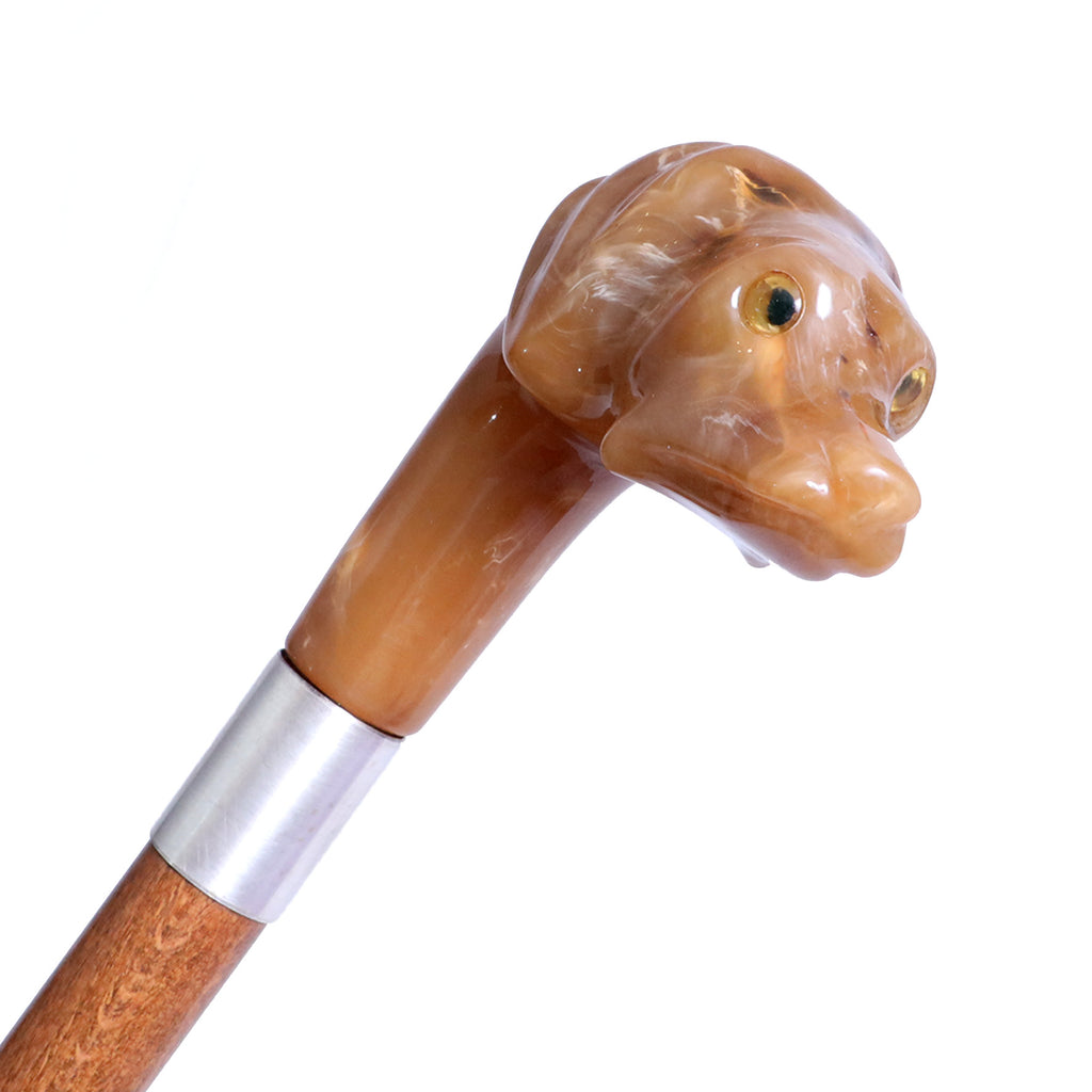 Cane vetroresina acetata