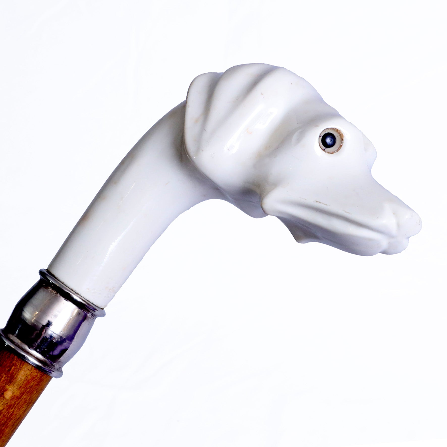 Cane vetroresina bianca