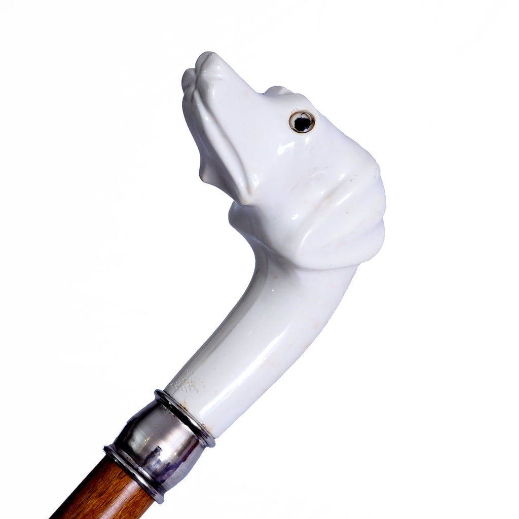 Cane vetroresina bianca