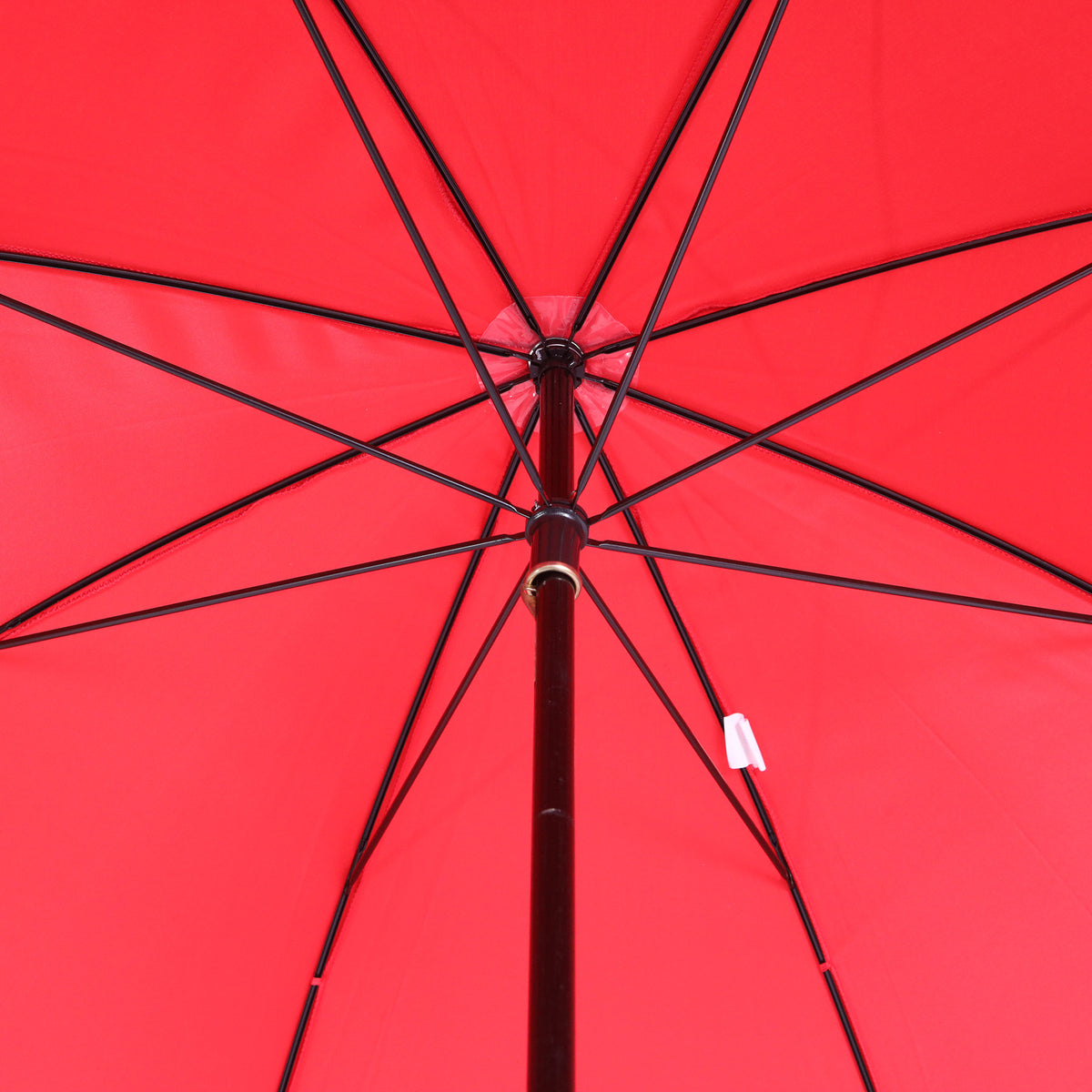 Cavallo dipinto a mano - Satin rosso