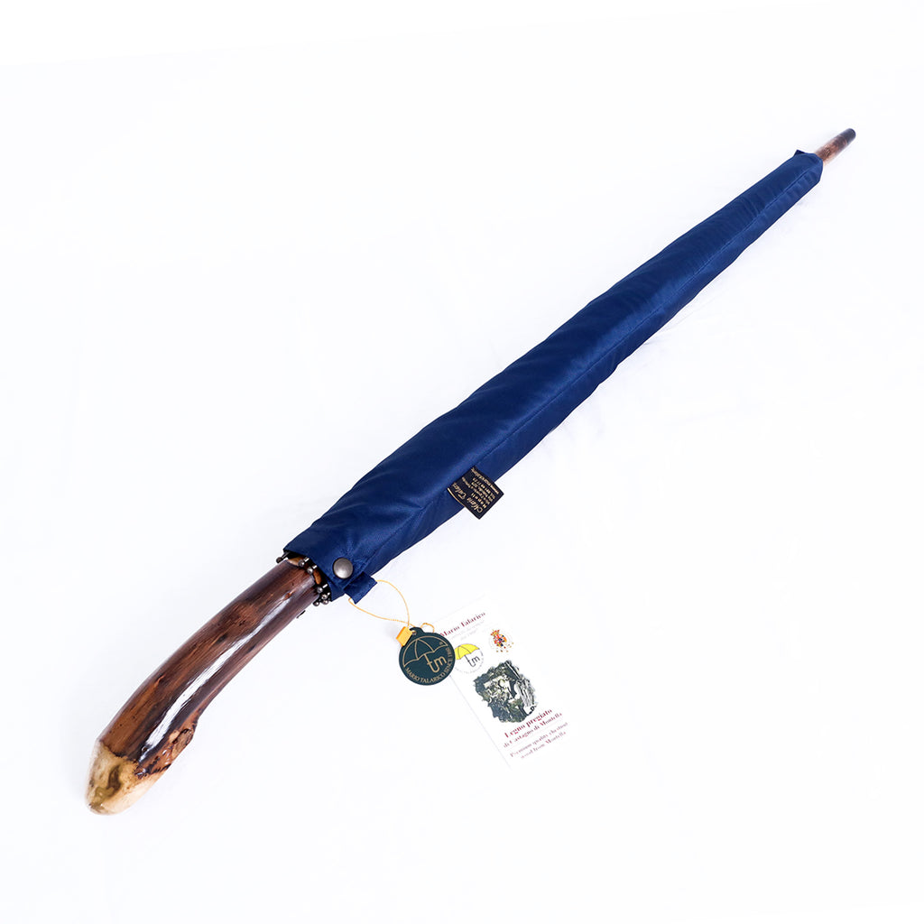 Radice di castagno - Blue
