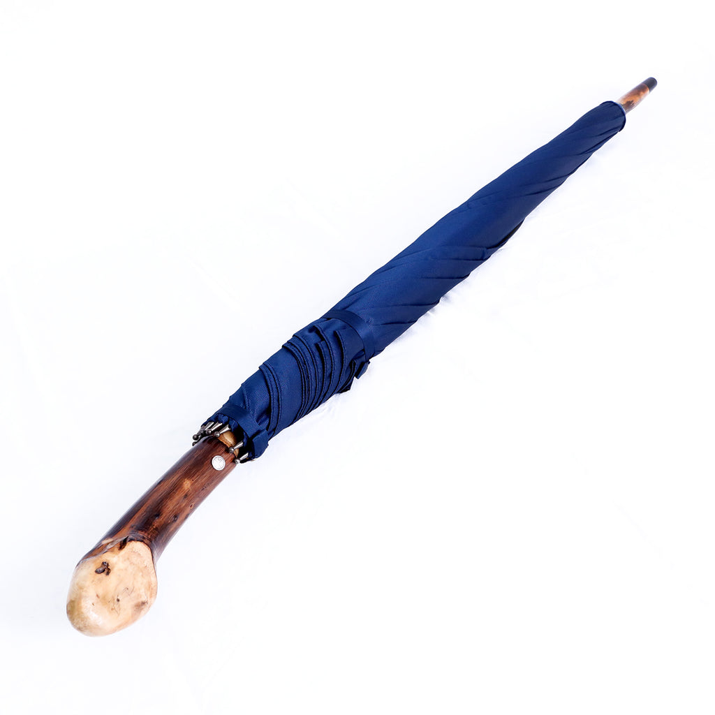 Radice di castagno - Blue