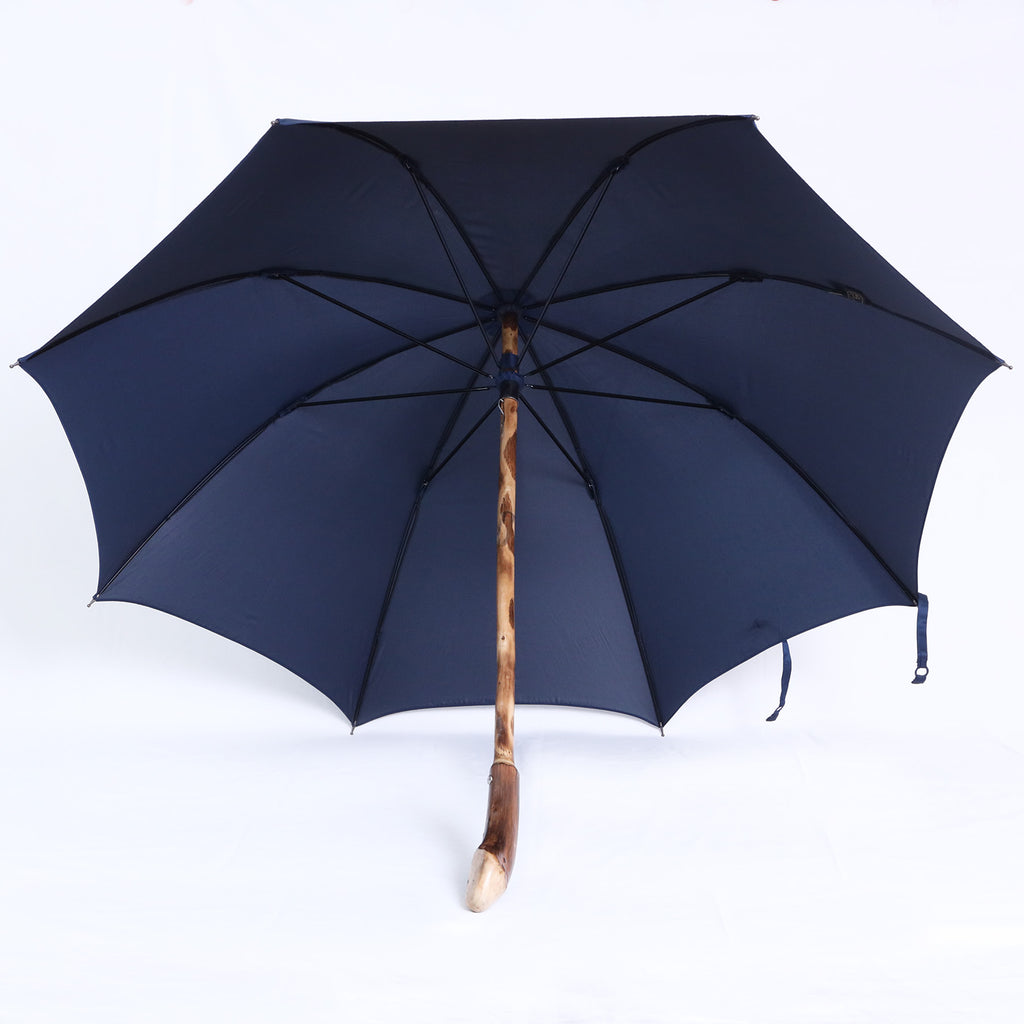 Radice di castagno - Blue