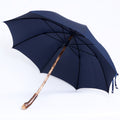 Radice di castagno - Blue