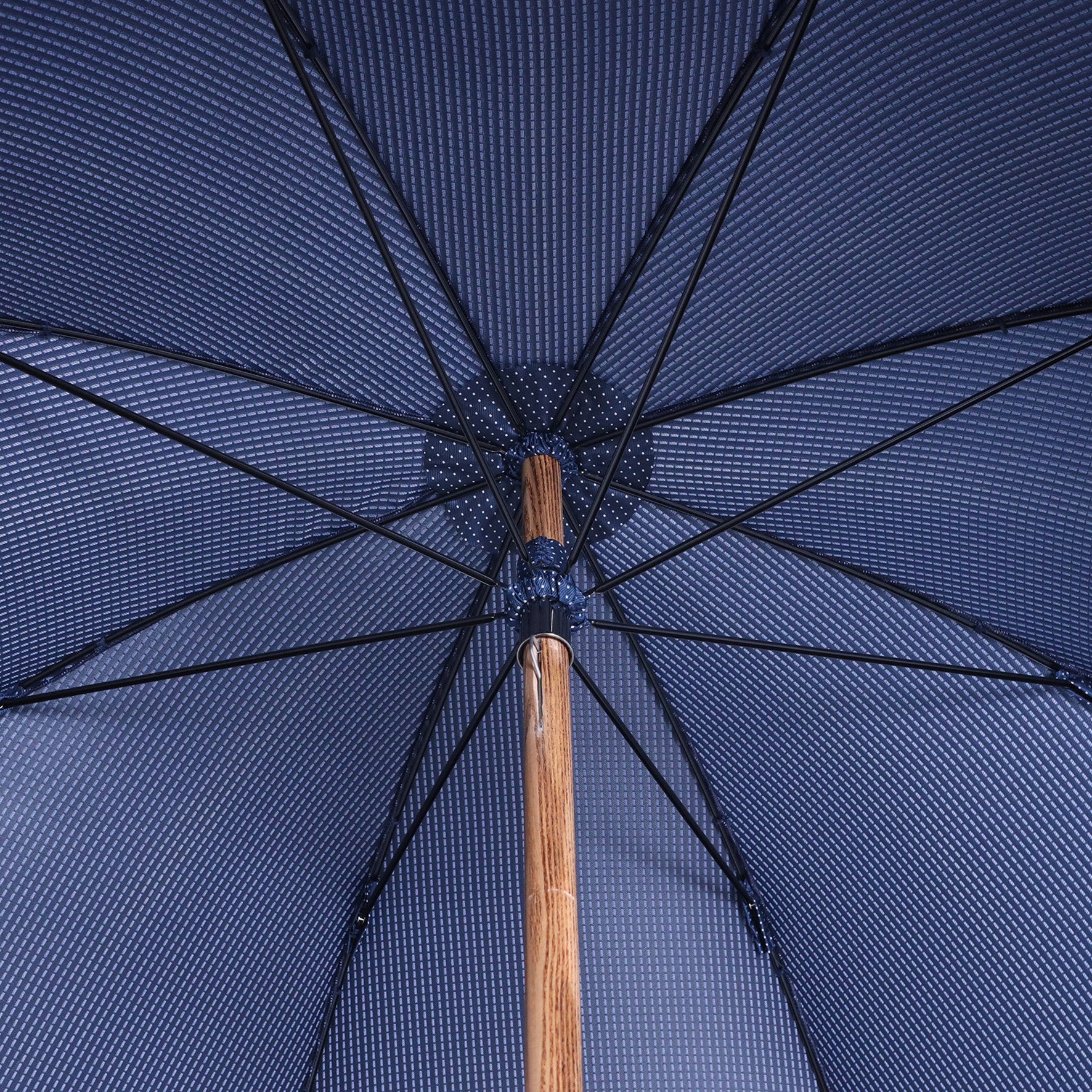 Hickory - Blue pois bianchi