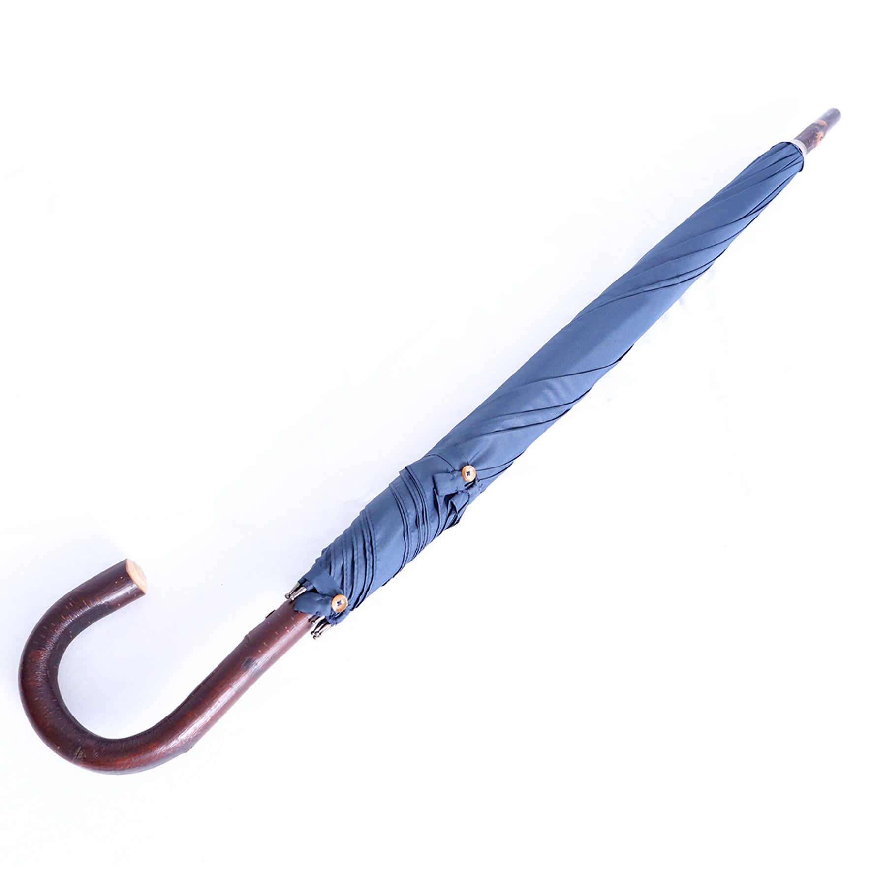 Castagno intero - Blue