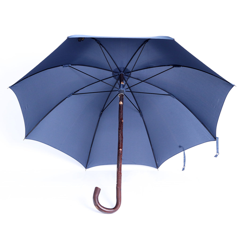 Castagno intero - Blue