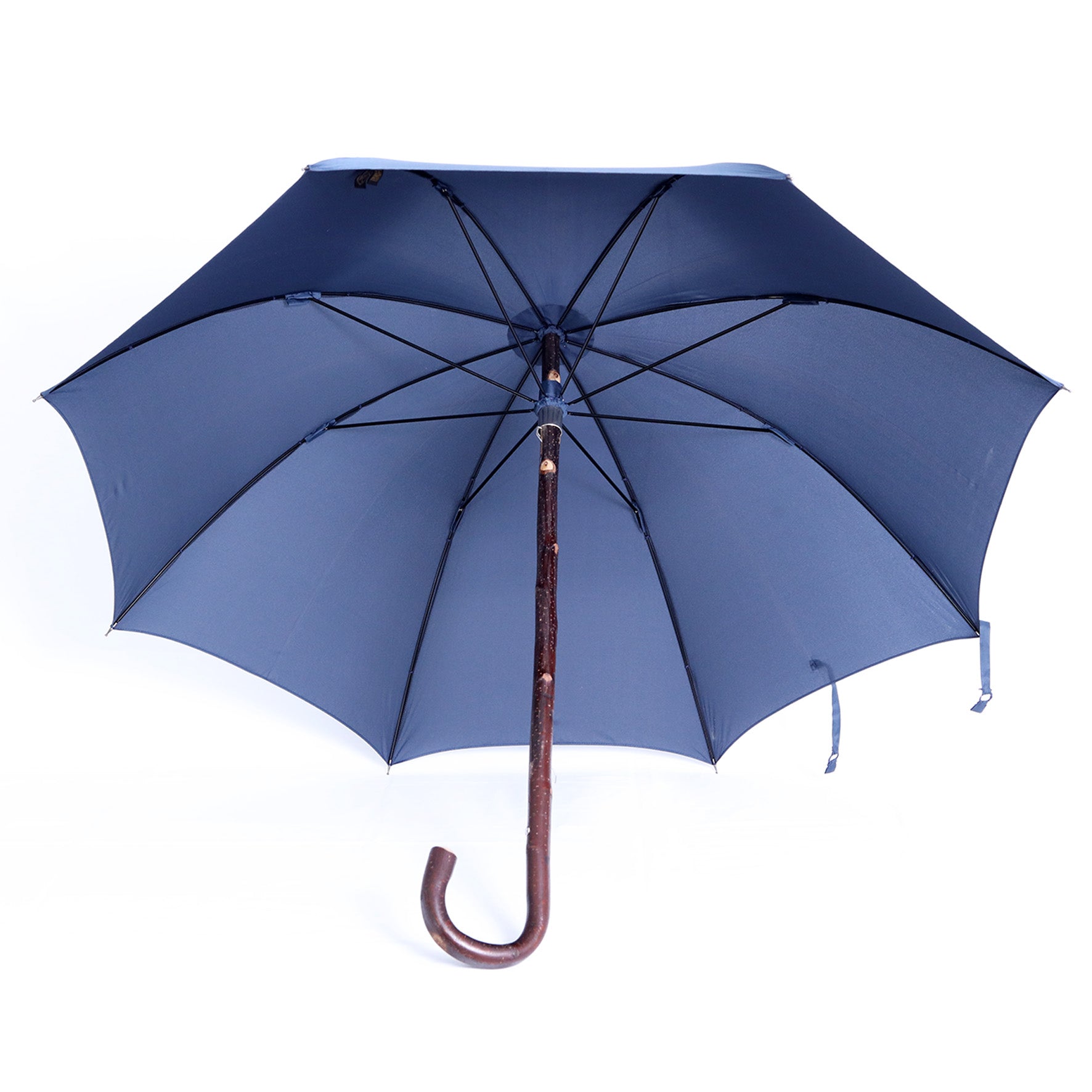 Castagno intero - Blue